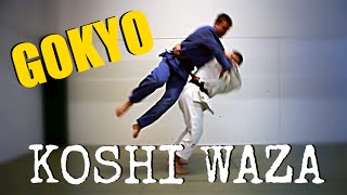 KOSHI WAZA  GOKYO  JudoAttitude [upl. by Cherri]