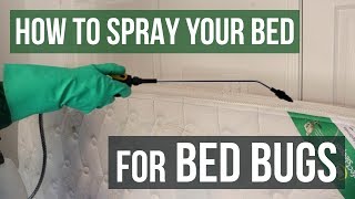 How to Spray Your Bed for Bed Bugs [upl. by Yecats]