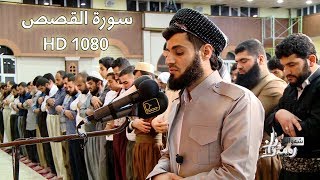 رعد محمد الكردي سورة القصص كاملة HD1080 [upl. by Netsirc]