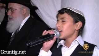 Uziya Tzadok Sings Kochav Meir Live At Chuppah [upl. by Shiau]