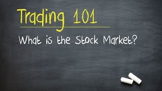 Trading 101 What is the Stock Market [upl. by Leid302]