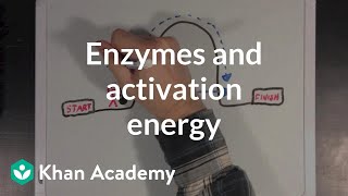 Enzymes and activation energy  Biomolecules  MCAT  Khan Academy [upl. by Sokem568]