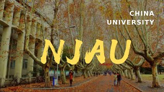 Nanjing Agricultural University English  南京农业大学英文介绍 [upl. by Ellecrad]