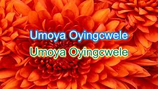 Thel Umoya with lyrics [upl. by Nivonod862]