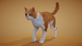 Cat walk amp run animation  Blender  Cycles [upl. by Iramohs282]