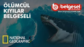 Ölümcül Kıyılar Türkçe Dublaj Belgeseli  Türkçe Dublaj [upl. by Ghassan]