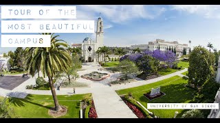 UCSD Campus Walking Tour  San Diego CA 4k 🔊 Binaural Sound [upl. by Cesya]