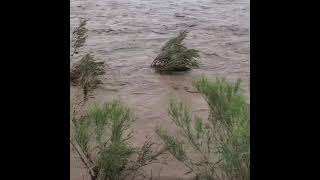 Rillito River Swells Following Heavy Rain in Tucson Arizona [upl. by Esirtal]