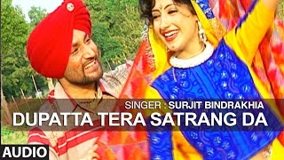 Dupatta Tera Satrang Da  Punjabi Audio Song  Surjit Bindrakhiya  TSeries [upl. by Swarts]