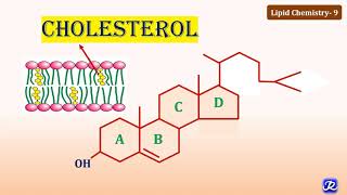 9 Cholesterol Structure amp Functions  Lipid Chemistry9  Biochemistry  NJOY Biochemistry [upl. by Cousin]