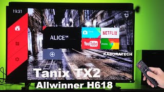 Tanix TX2 Allwinner H618 Android 12 [upl. by Aneerb]