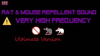 ⚠️Ultimate Version 🚫🐀🐁 Rat amp Mouse Repellent Sound Very High Frequency 1 Hour [upl. by Gaylord633]