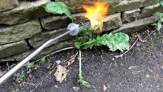 Gas Weed Burner In Use [upl. by Lazor]