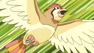 All Ashs Pidgeot moves [upl. by Jeraldine]