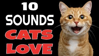 10 Sounds Cats Love To Hear The Most [upl. by Ahsimaj]