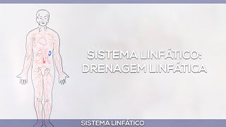 Sistema linfático drenagem linfática [upl. by Aneleiram472]