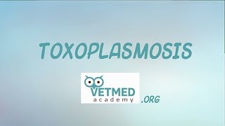 Toxoplasmosis [upl. by Koy]