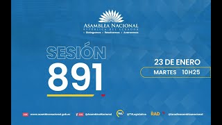 Sesión 891 del Pleno de la Asamblea Nacional [upl. by Briana]