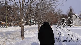 A typical Winter day in Winnipeg Manitoba Canada [upl. by Noivad]