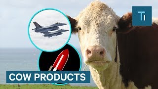 Did You Know These Products Are Made From Cows [upl. by Emia633]