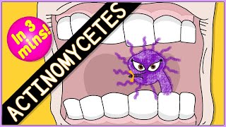 Actinomycetes Microbiology Morphology pathophysiology symptoms diagnosis treatment [upl. by Adlen945]