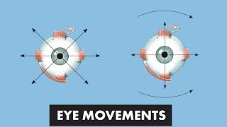 How to put in eye drops  tips for those with Glaucoma [upl. by Nagaet]