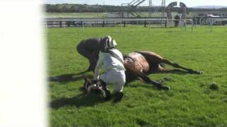 Racing horse death by accident in Galway [upl. by Suinotna637]