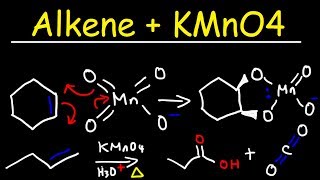 Alkene  KMnO4 Reaction [upl. by Nylarac362]