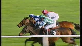 1994 Bonusprint Stayers Hurdle Balasani [upl. by Amrac812]