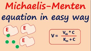 MichaelisMenten equation in easy way [upl. by Ocinom]