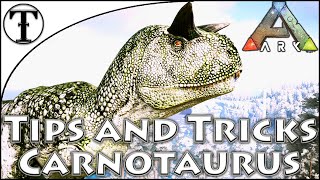 Fast Quetzal Taming Guide  Ark  Survival Evolved Tips and Tricks [upl. by Ecenahs421]