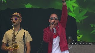 Collie Buddz quotCome Aroundquot Live  California Roots 2017 [upl. by Sillaw]