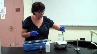 How to Perform an Endospore Stain [upl. by Nereil]