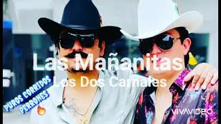 Las Mañanitas  Los Dos Carnales en vivo [upl. by Nowed]