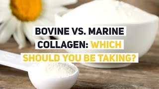 Bovine vs Marine Collagen Which Should YOU be Taking [upl. by Medwin229]