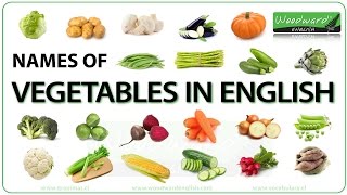 Vegetables in English  Names of Vegetables  Learn English Vocabulary  ESOL Vegetables Names [upl. by Cerellia583]