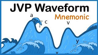 Jugular Venous Pressure JVP Waveform Mnemonic [upl. by Ayrotal]