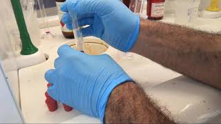 Reactivity of cyclohexane cyclohexene and toluene [upl. by Etta315]