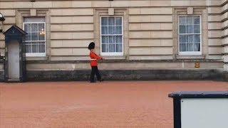 Guardsman in Trouble Over Buckingham Palace Pirouette  Forces TV [upl. by Alexio737]