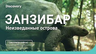 Занзибар  Неизведанные острова  Discovery Channel [upl. by Eustache391]