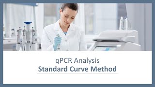 qPCR Analysis  Standard Curve Method [upl. by Fabozzi]