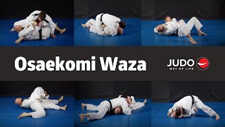 Osaekomi Waza  Hold Down Techniques [upl. by Niuqauj]