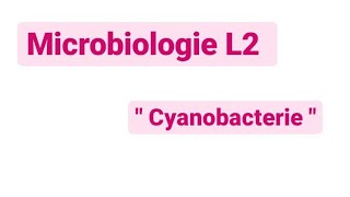 Microbiologie L2  les cyanobactérie [upl. by Ahsikyw]