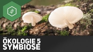 Symbiose – Ökologie 5 [upl. by Oslec]