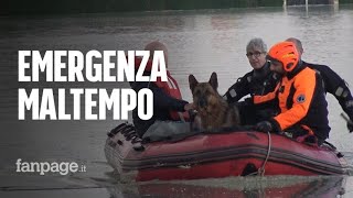 Emergenza maltempo a Budrio 200 persone evacuate i vigili del fuoco salvano il cane Sam [upl. by Karleen367]