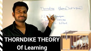 Thorndike Theory Of Learning Trial amp Error Theory [upl. by Aeiram]