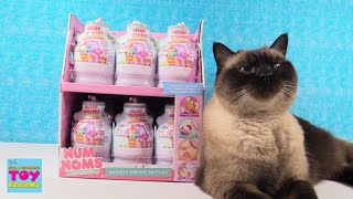 Num Noms Mystery Makeup Surprise Full Set Opening Toy Review  PSToyReviews [upl. by Hennahane]