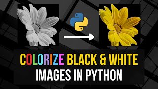 Colorize Black amp White Images in Python [upl. by Mide544]