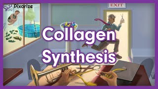 Collagen Synthesis USMLE Mnemonic Preview [upl. by Yruok598]