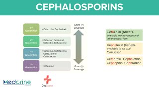 Cephalosporins Pharmacology 1st to 5th Generations Mnemonics Indications and Adverse effects [upl. by Cianca475]